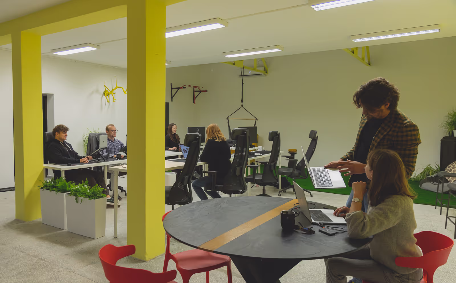 Zespół Fallow Deer